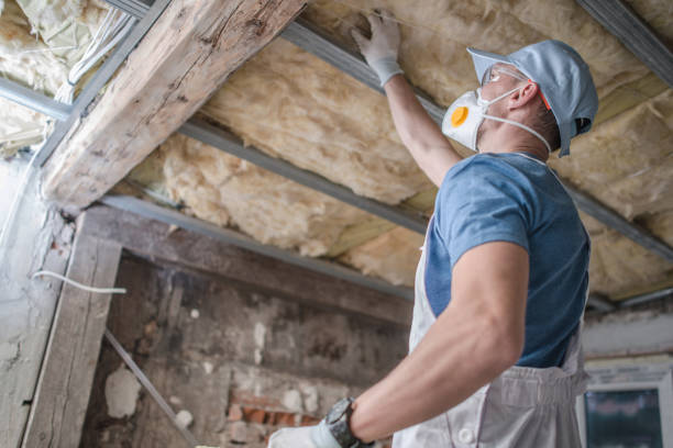 Best Insulation Maintenance and Repair in Kentwood, MI